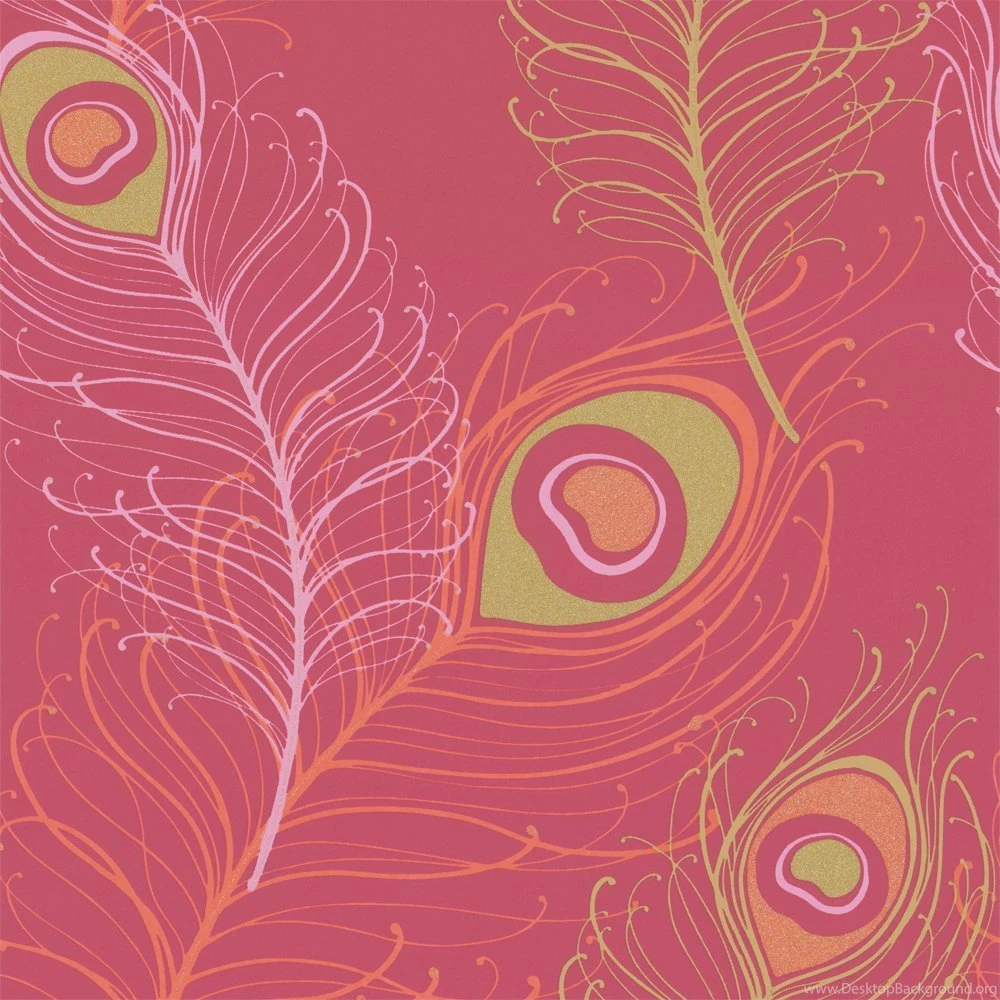 Vymura Festoon Feather Wallpapers Red Pink Orange   M0559   Vymura ...