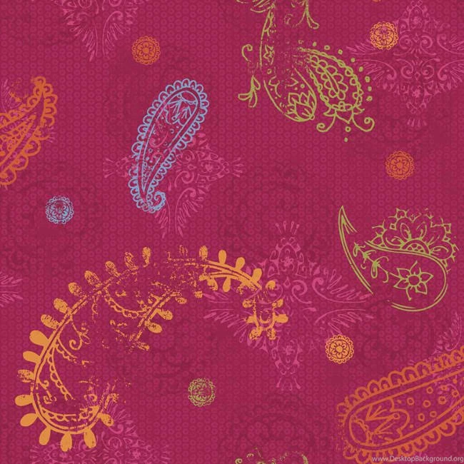 Top Pink Orange And Calendula Wallpapers