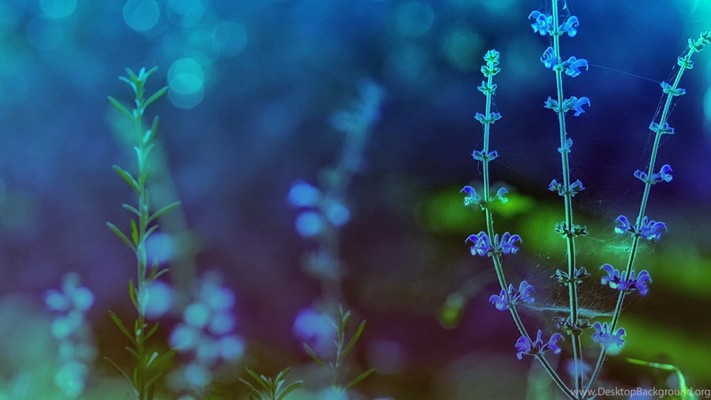 Best HD Theme Wallpapers