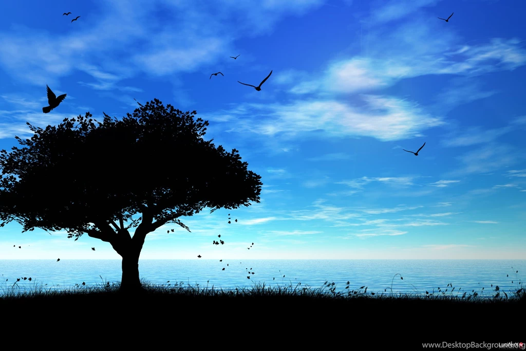 Nature Wallpapers Hd