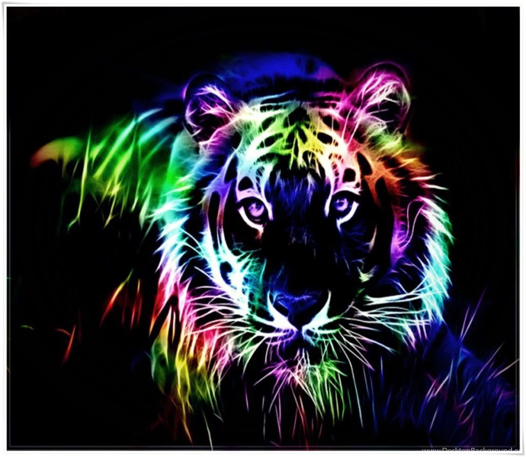 Cat Hd Wallpapers 0050
