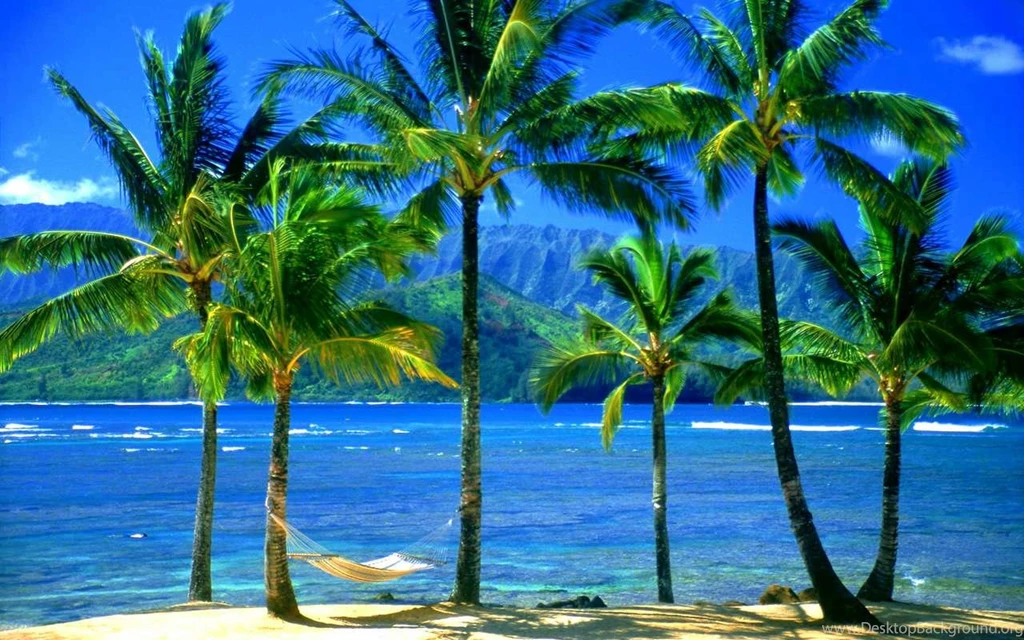 Large Screen Wallpapers   Wallpapers Zone