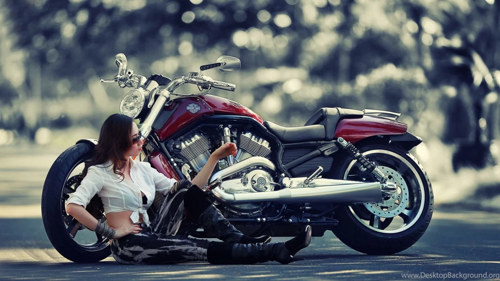 Free Harley Davidson Wallpapers Wallpapers Cave