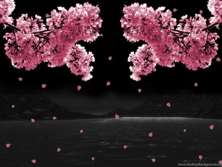 Animated Gif Graphics