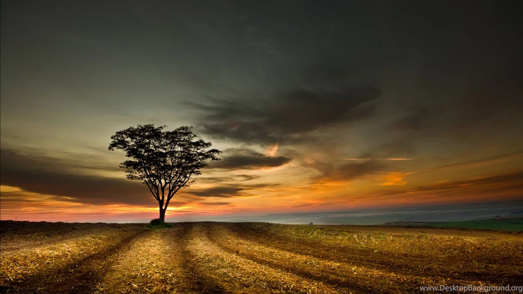 Beautiful Landscape Wallpapers 1600x900