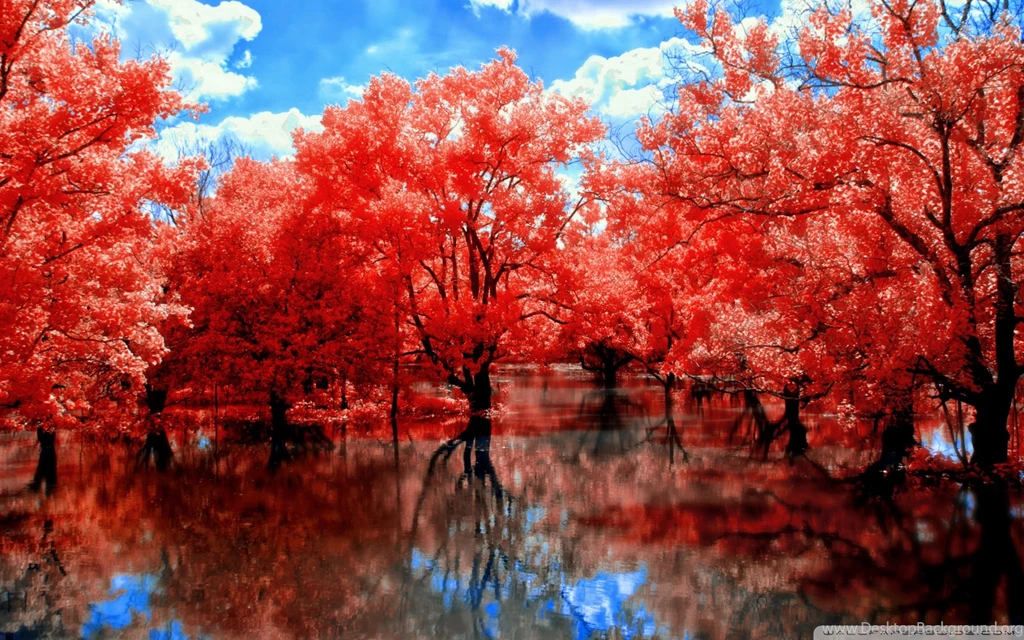 As In Fairy Tales HD Desktop Wallpapers : Widescreen : High ...