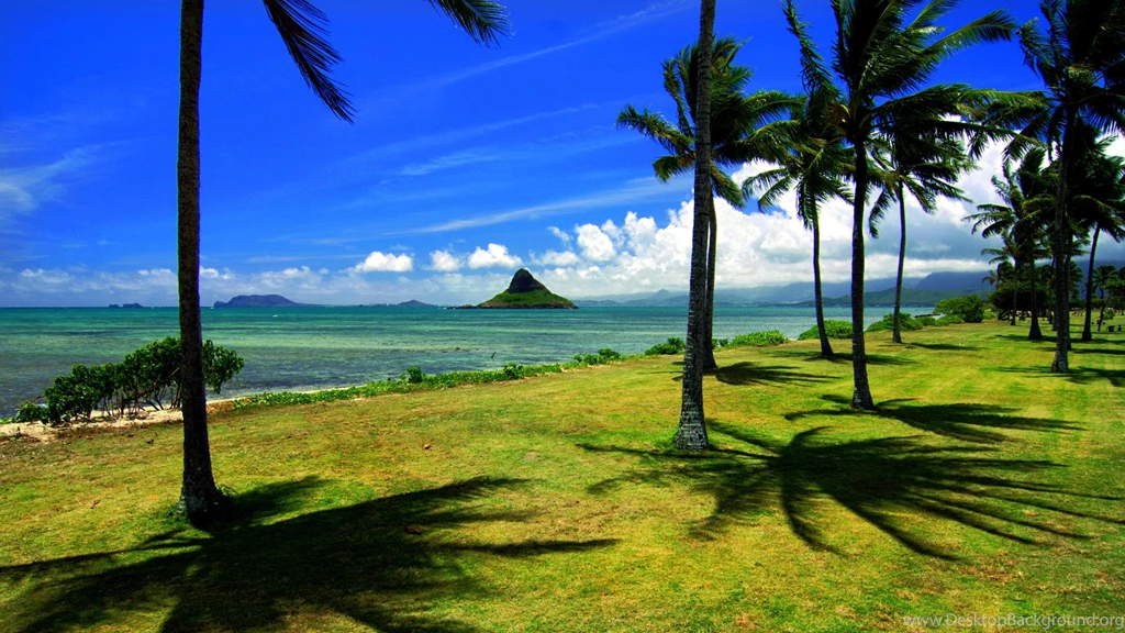 Backgrounds, Wallpaper, Kauai, Tunnels, Hawaii, Winter, Beach ...