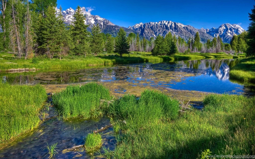 HD Nature Wallpapers For Computer HD Wallpapers
