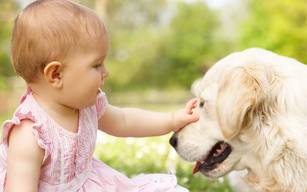 Lovely Pets And Babies Play Together Wallpapers 1920x1200