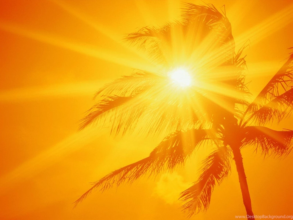 Download Landscape Sunshine 1323x864 Full HD Wall