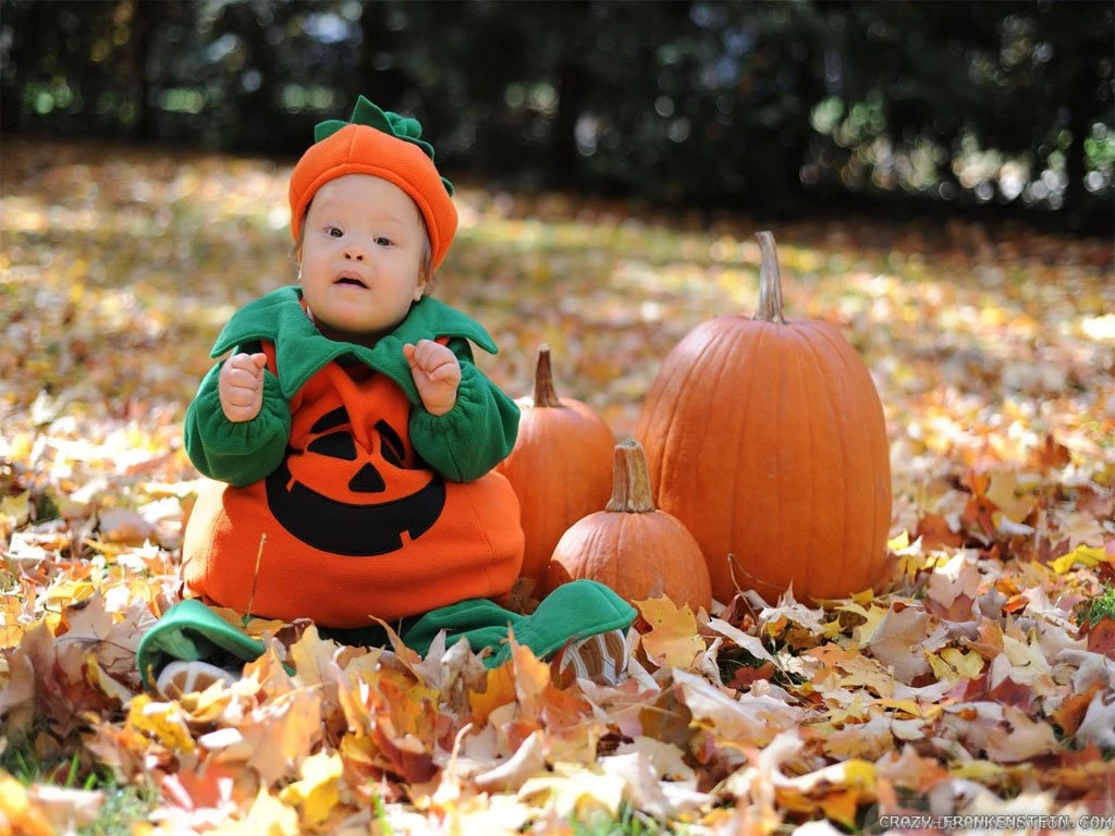 Cute Halloween Wallpaper Backgrounds