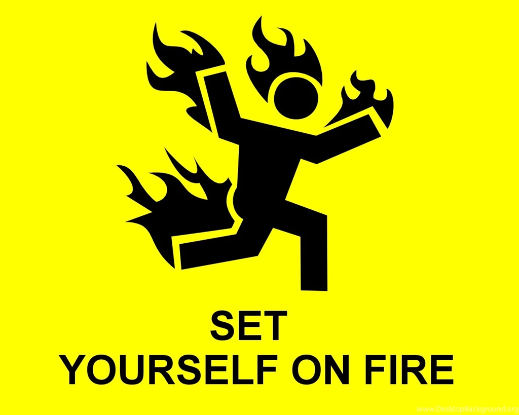 525 Funny HD Wallpapers
