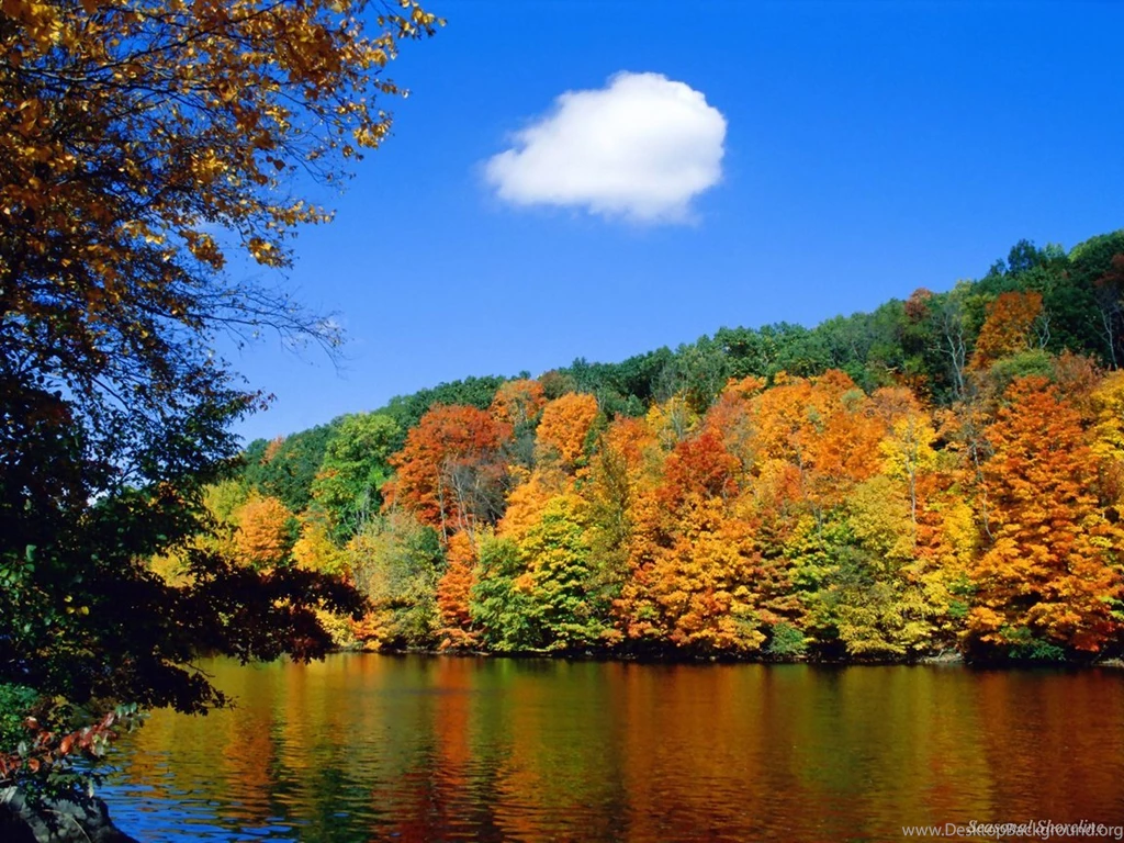 Wallpapers Photos Download HD Wallpapers Pretty