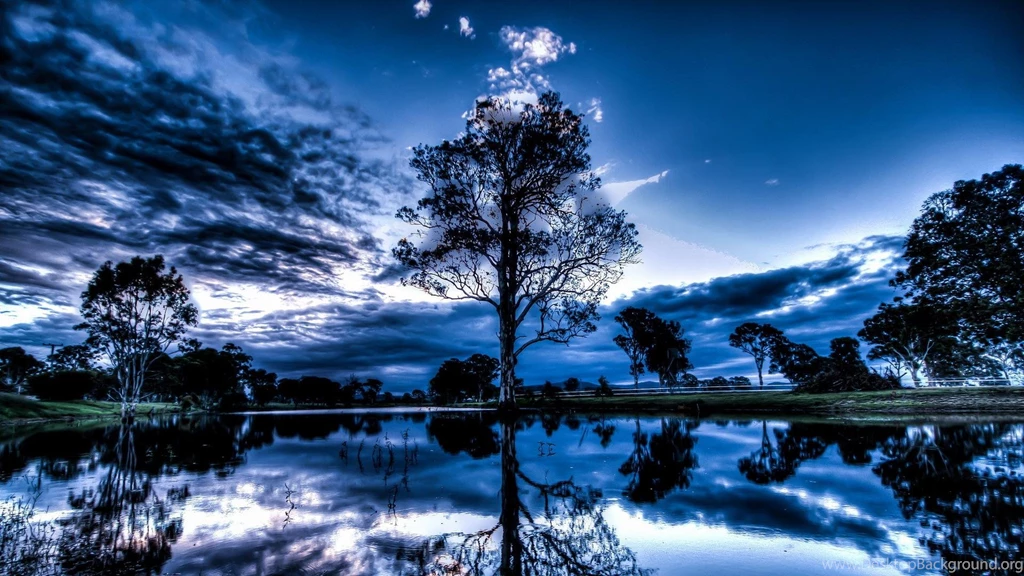 Magnificent Reflective Pond   (