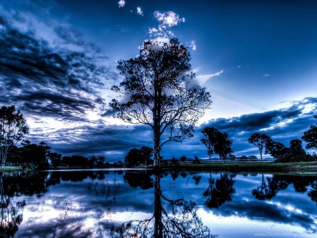 Magnificent Reflective Pond (