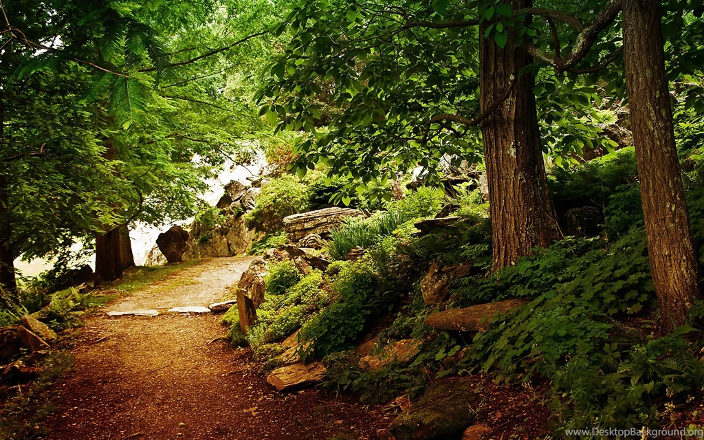 Scenic Backgrounds For Photoshop Danasrhp.top