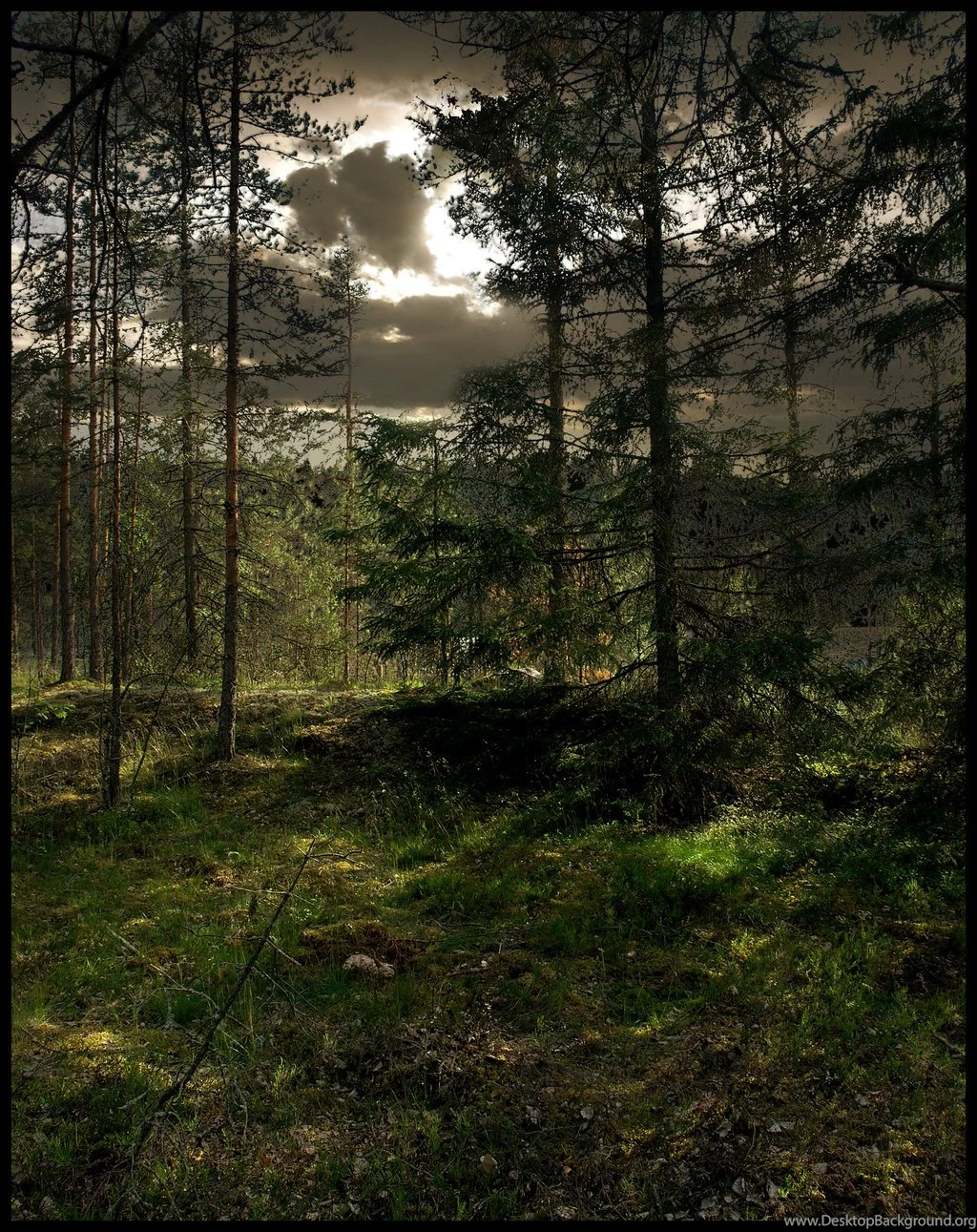 Backgrounds Woods By Eirian stock On DeviantArt