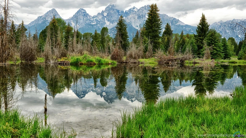 Download Wallpapers Mirror Lake In The Woods On A Backgrounds Of ...