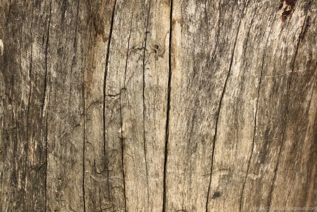 Ruberslaw Wild Woods Camping · Home