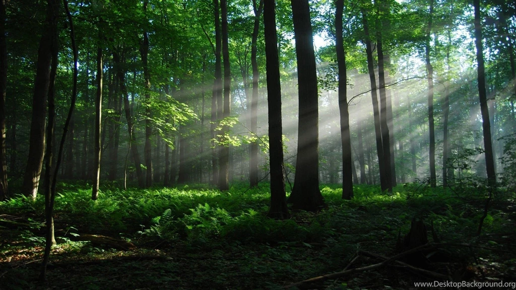 View Topic   [☘]ＣＬＯＶＥＲＣＬＡＮ   ＡＣＣＥＰＴＩＮＧ ...