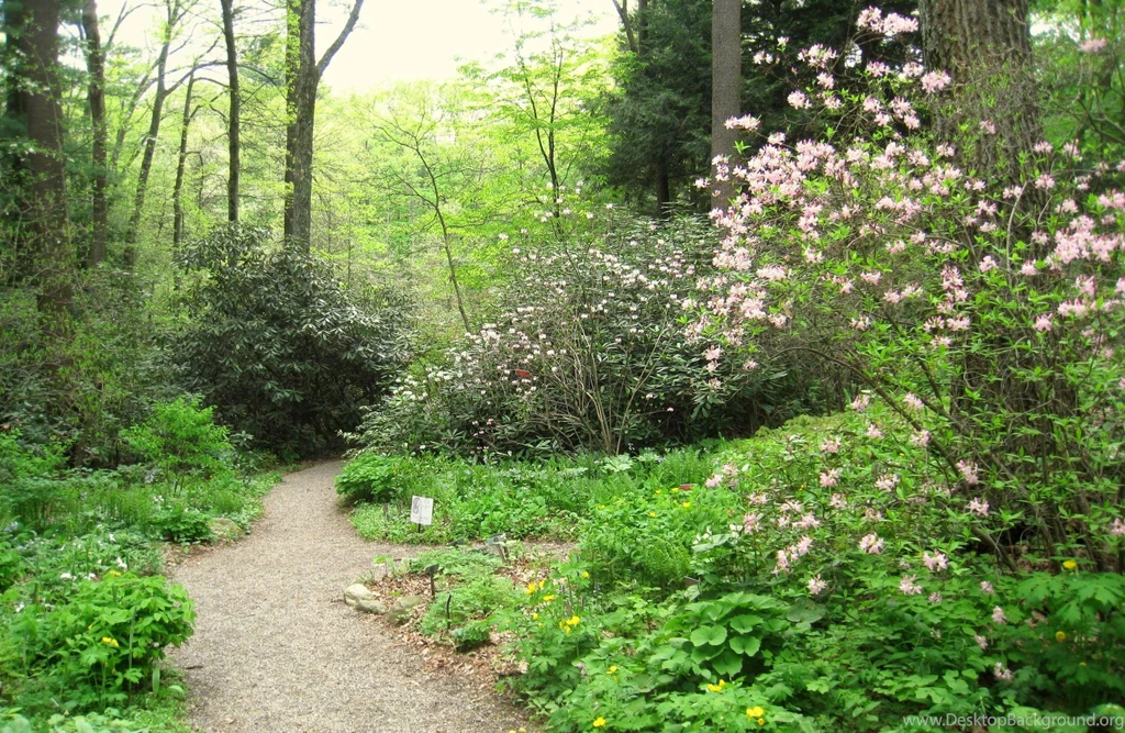 Garden In The Woods Backgrounds