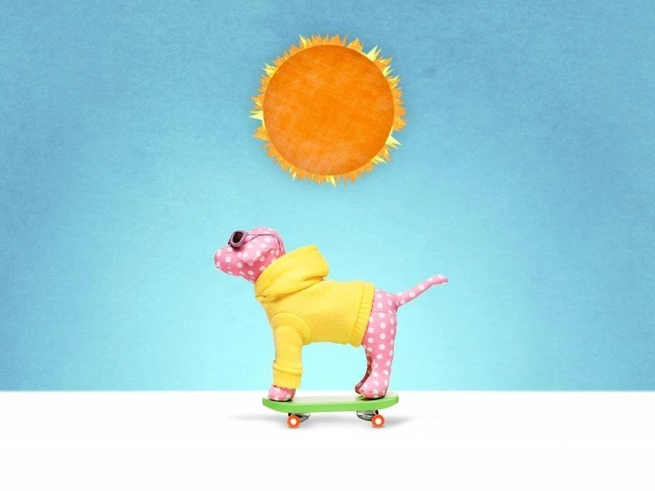 PINK Nation Exclusives – VS Pink At Florida State University