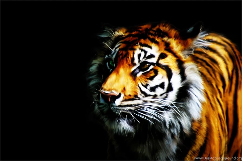 Tiger Wallpapers By Rubenski87 On DeviantArt