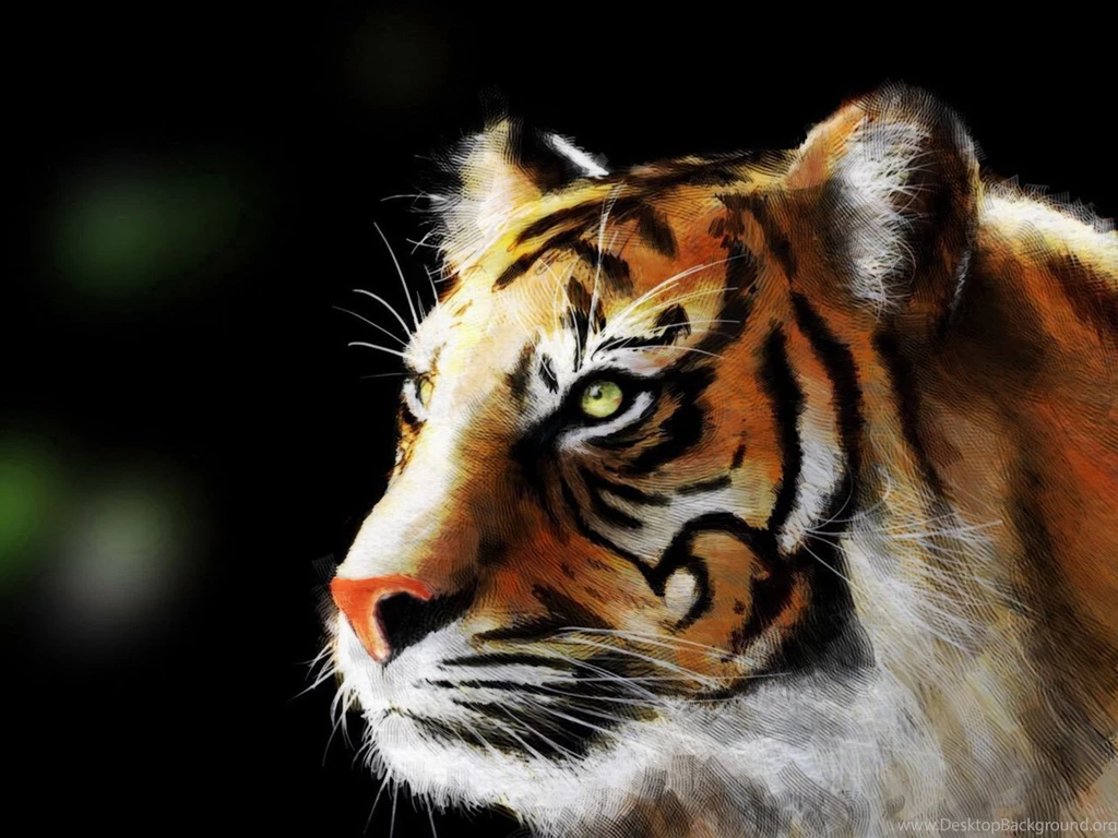1064 Tiger HD Wallpapers