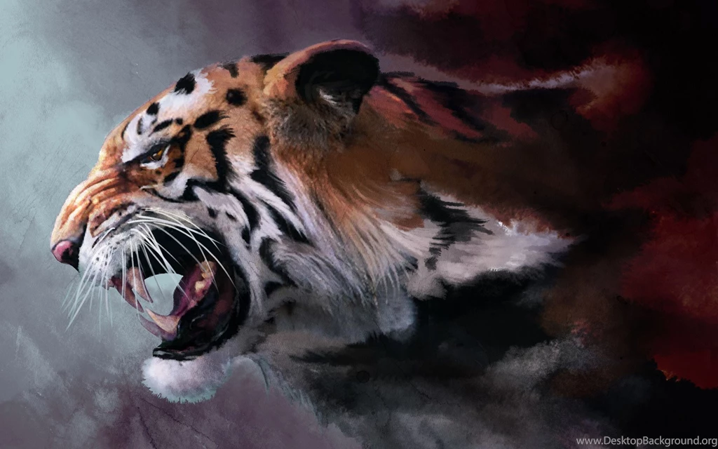 Tiger Hd Wallpapers 0339