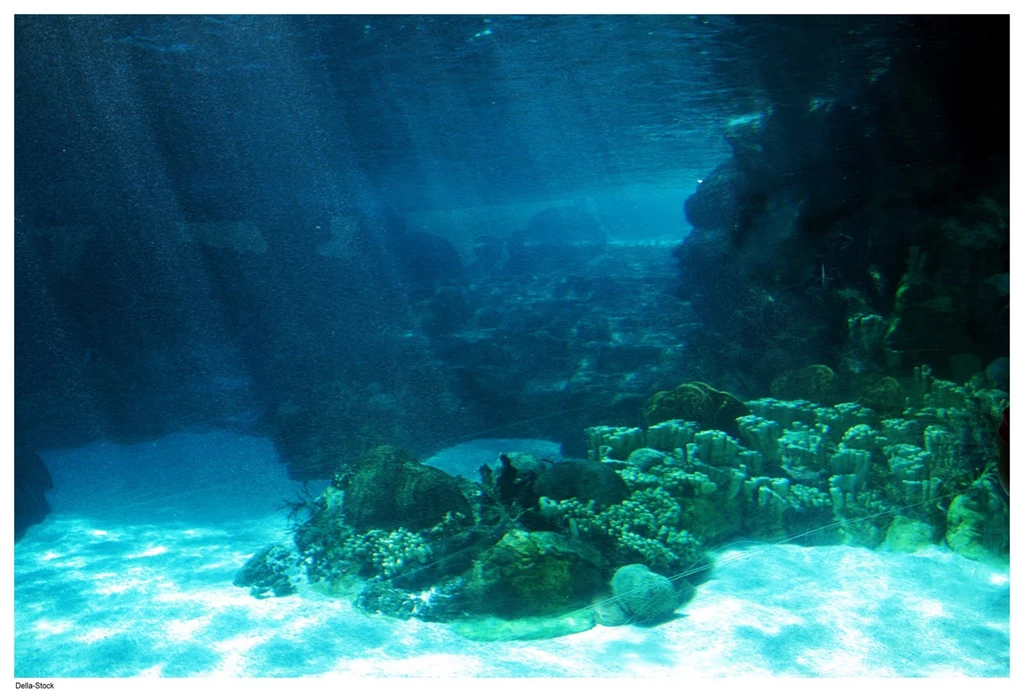 Ocean Floor Wallpapers Wallpapers Cave