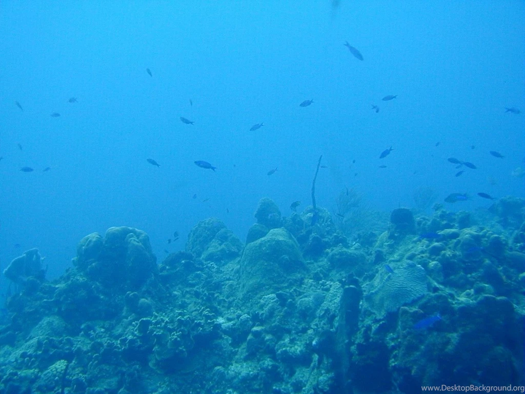 Ocean Floor Wallpapers Wallpapers Cave