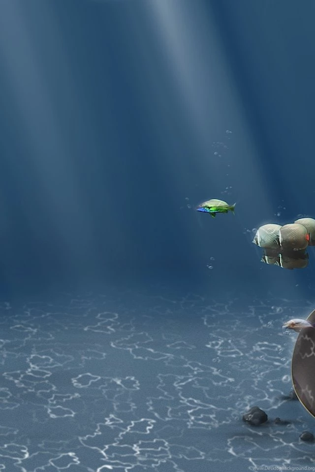 Iphone4 Ocean Floor.jpg