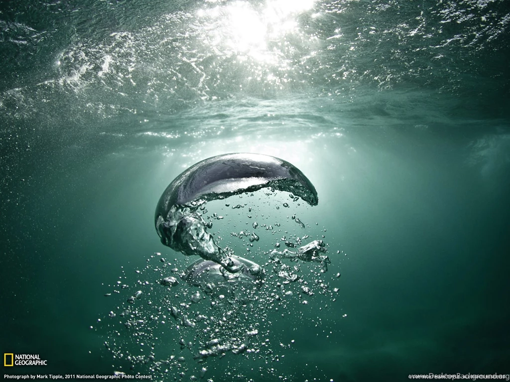 Ocean Picture – Underwater Wallpapers National Geographic Photo ...