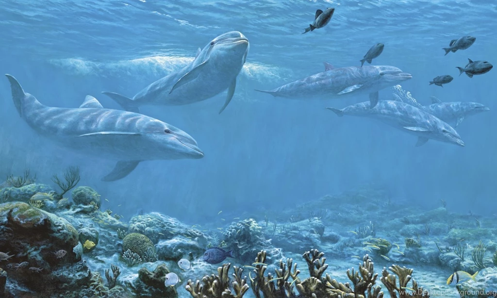 Dolphin Pre Pasted XL Wallpapers Mural, Kids XL Murals, Fantasy Art ...