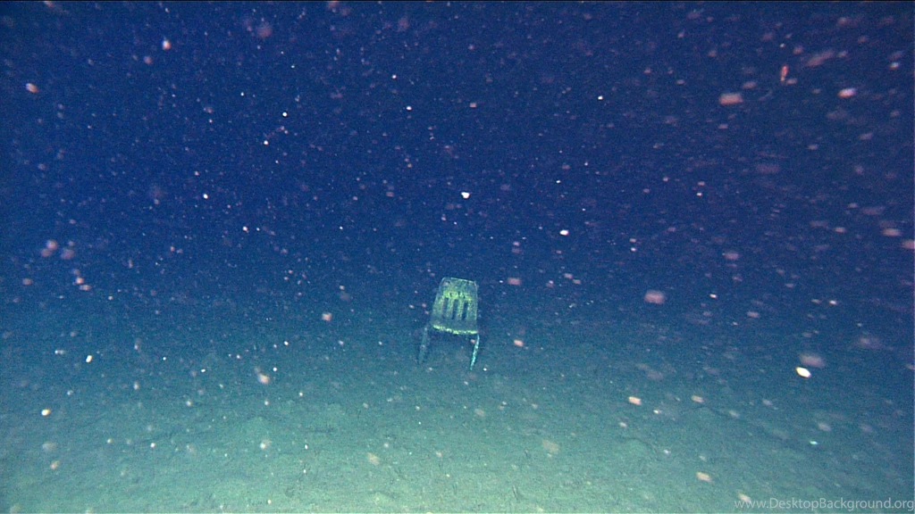 WIRED Science's Most Popular Image Galleries Of The Year