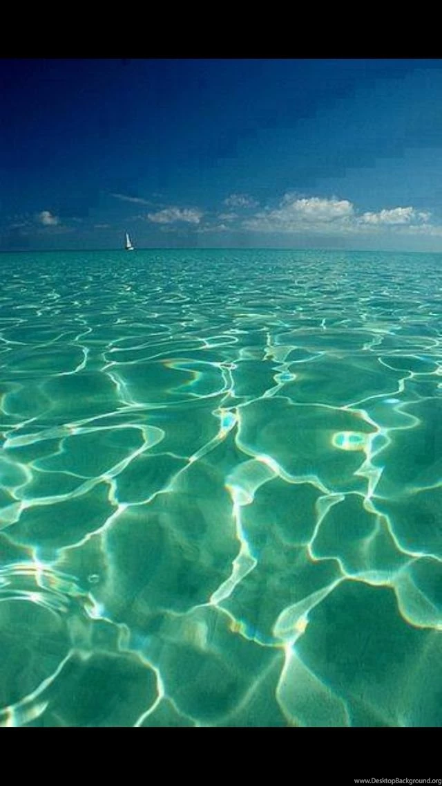 Ocean Floor Iphone Backgrounds