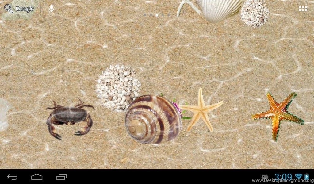 Ocean Floor Android Apps On Google Play