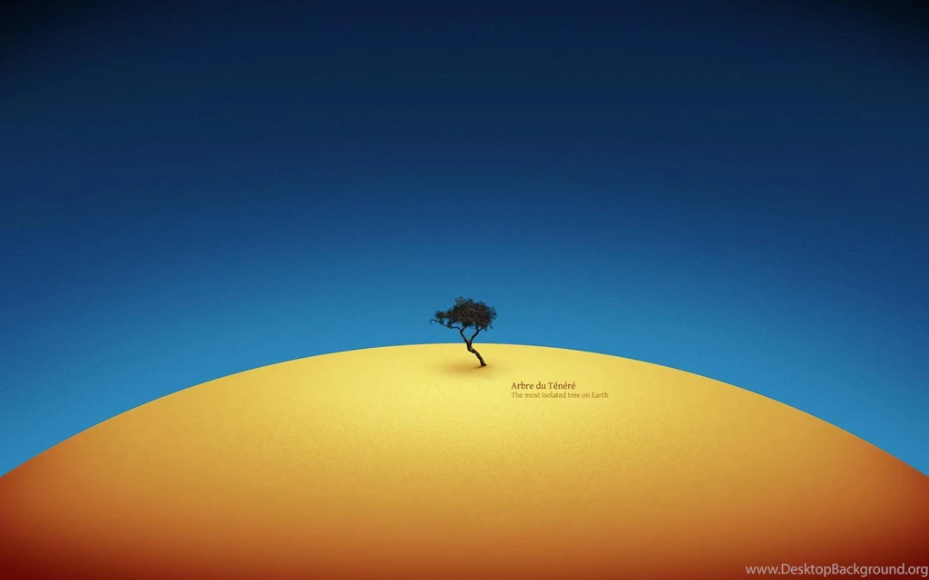 The Most Isolated Tree On Earth Best Hd Wallpapers 1680x1050 ...