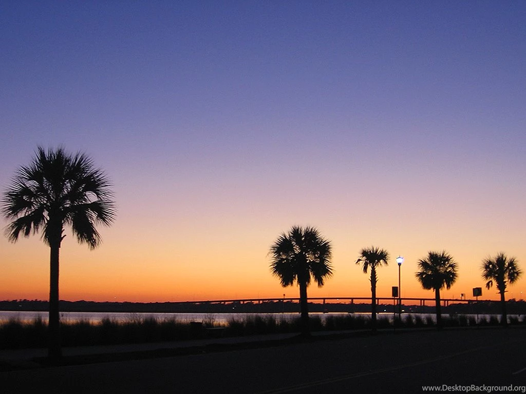 Download Wallpapers Installation Charleston Sc Palm Tree Sunset ...