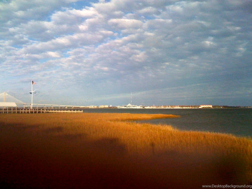 Homes With A Water View In Downtown Charleston
