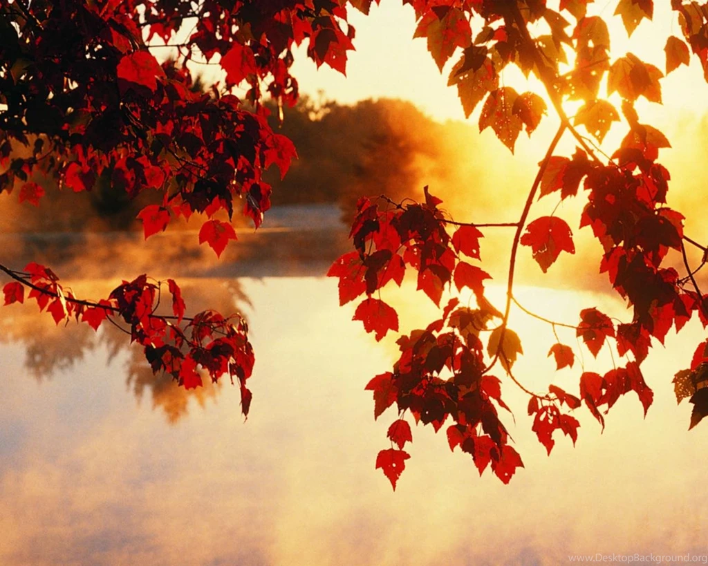 Nice Autumn Wallpapers Desktop Hd 1280x720 Hd Wallpapers Widescreen ...