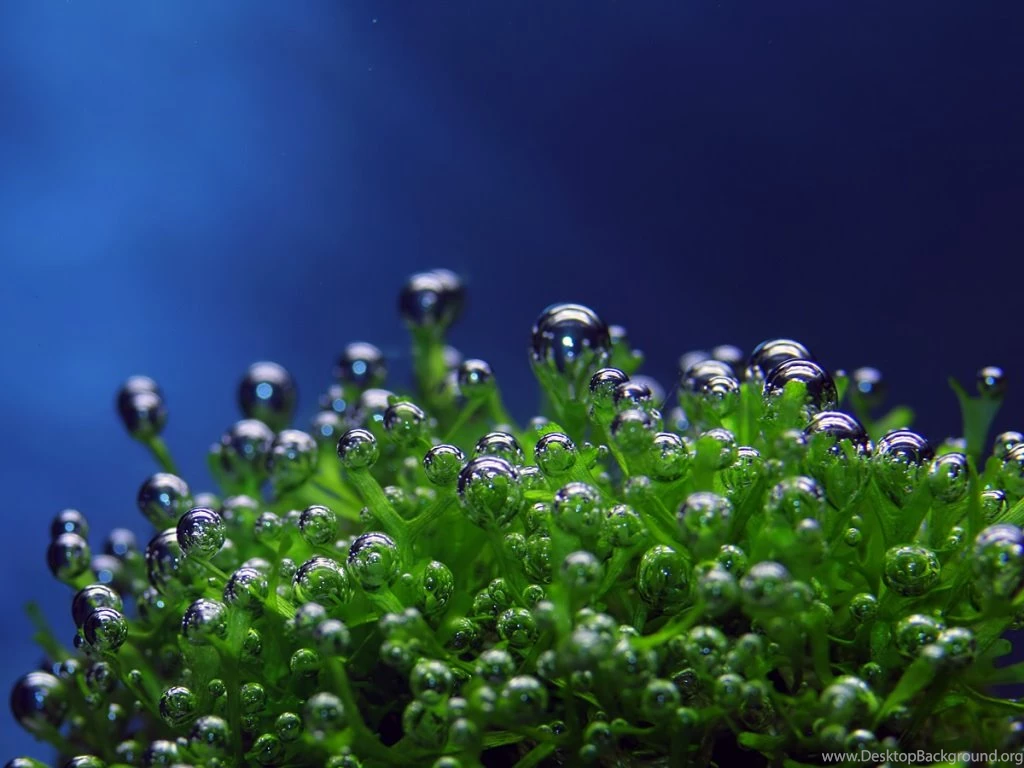 3d Hd Wallpapers Collection (50+)