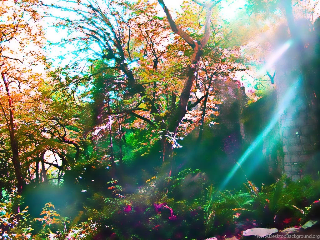 Wallpapers Fairy Tale Free Screensavers 1024x768