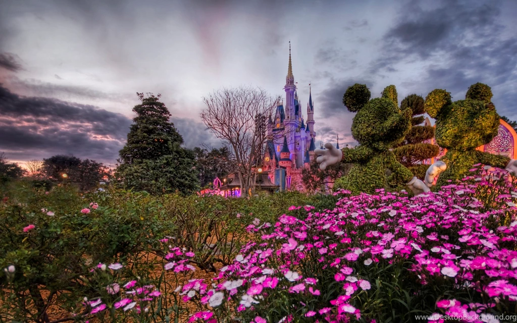 Disney World Desktop Wallpapers HD Wallpaper Backgrounds Of Your ...