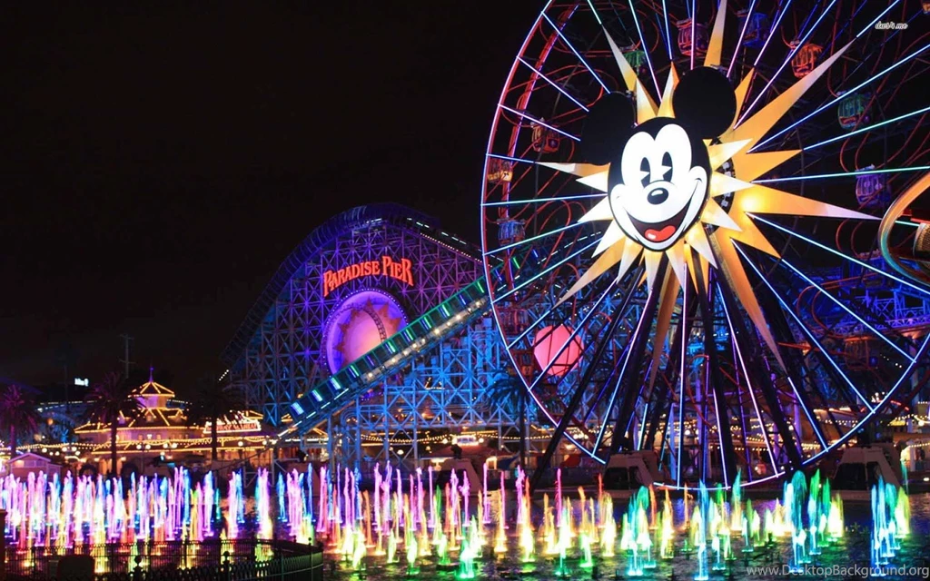 Disney World Picture And Photo 20