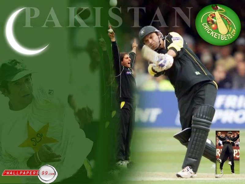 Wallpapers Loin Shahid Afridi