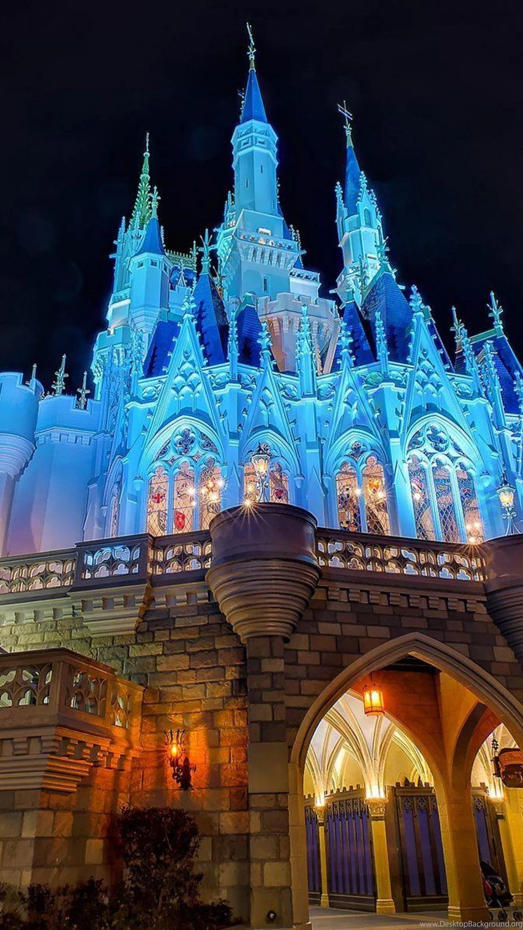 Disney World Disney Castle At Night Castle Disneyland HD ...