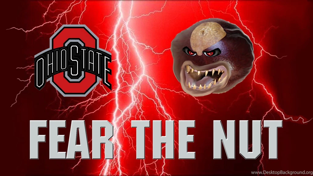 OSU Wallpapers 254   Ohio State Football Wallpapers (29289132)   Fanpop