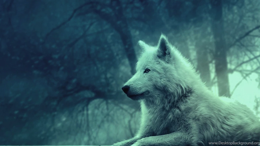 High Resolution Wolf Animated White Wolf Wallpapers SiWallpaperHD ...