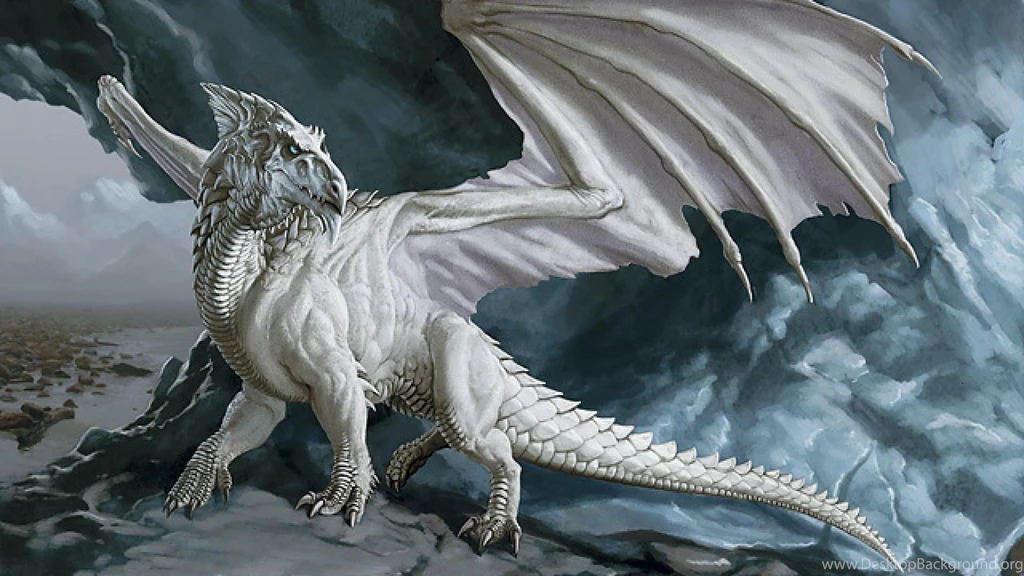 Dragon Blanco Arte Fantasia Wallpapers